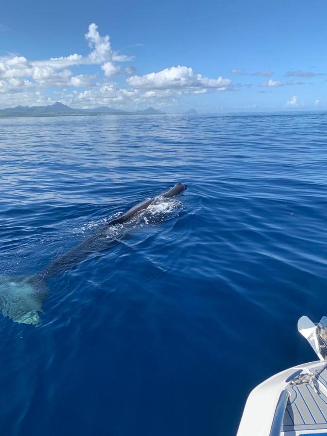 Residence Au Bout Du Morne Le Morne Eksteriør billede